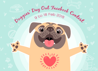 Doggies’ Day Out Facebook Contest