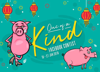 One of a Kind Facebook Contest 